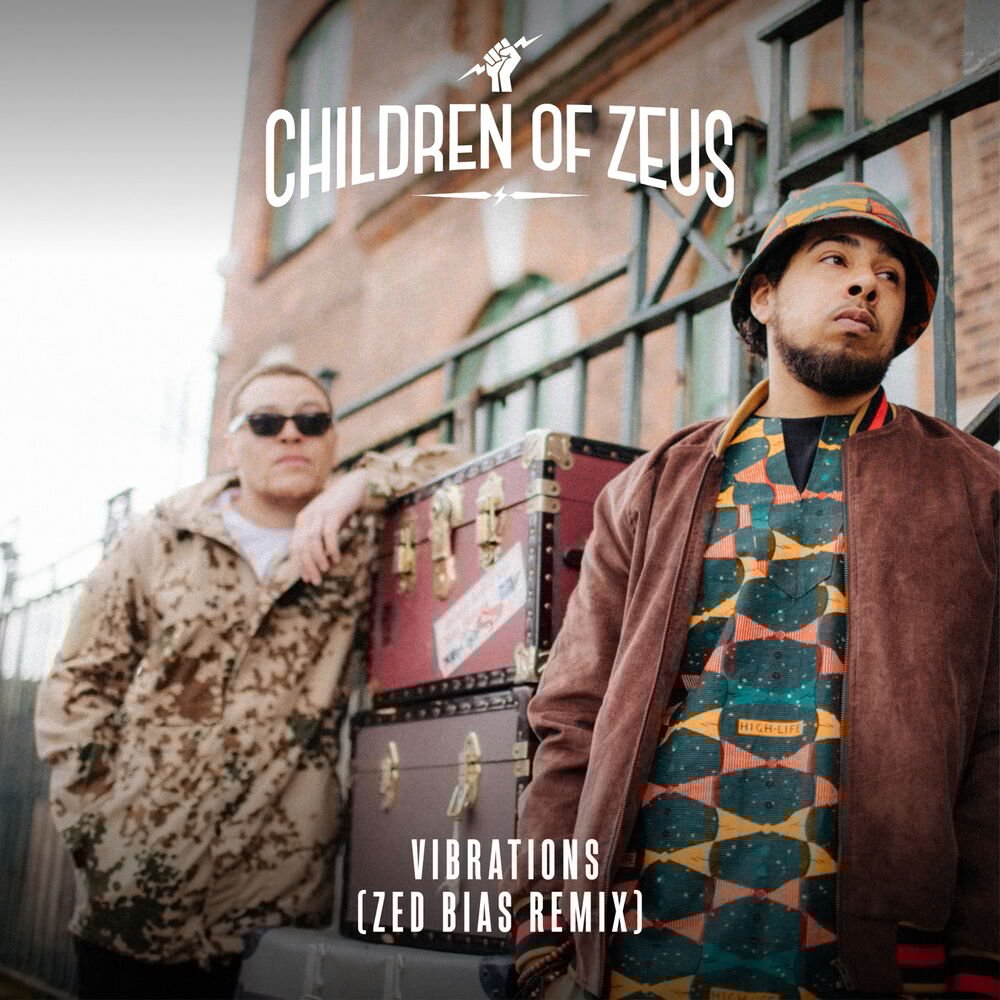 Picture of Vibrations (Zed Bias Remix)