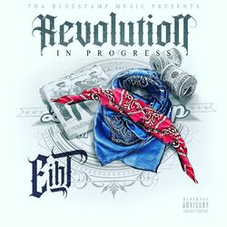 Cover of Revolution in Progress