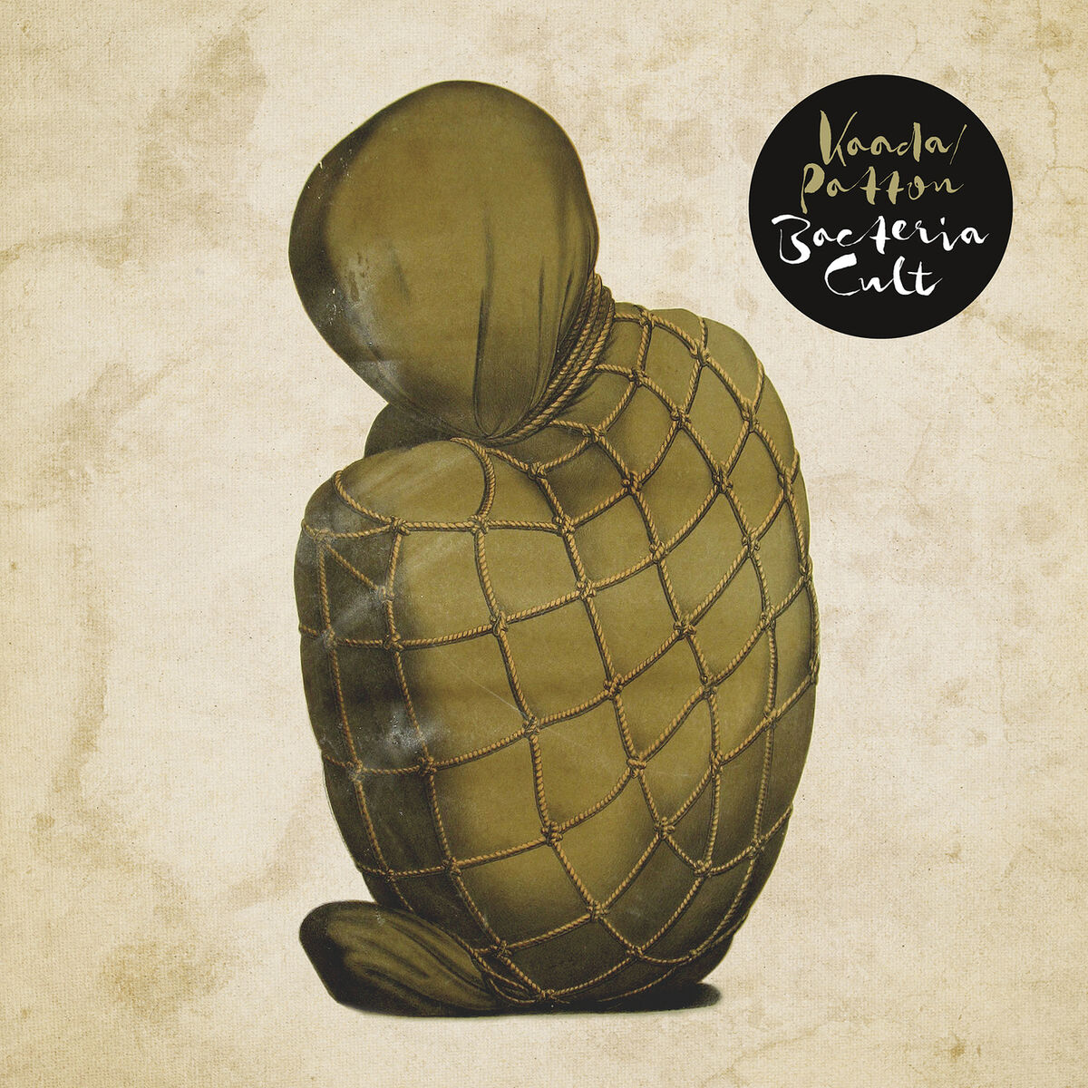 Album cover of Bacteria Cult