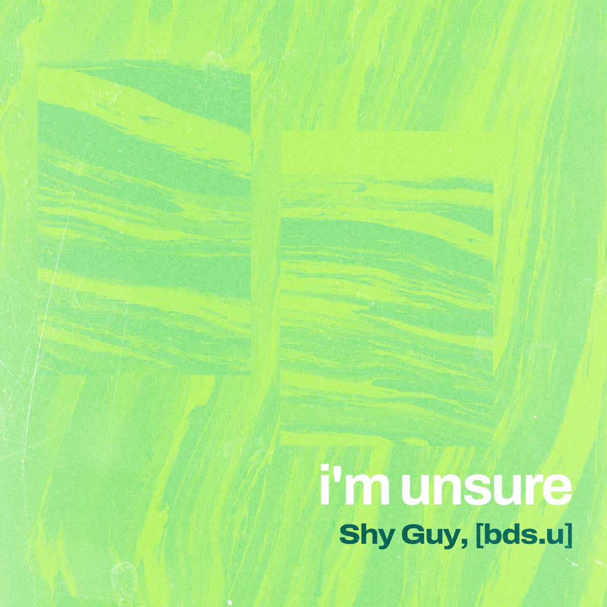 Album cover of i'm unsure