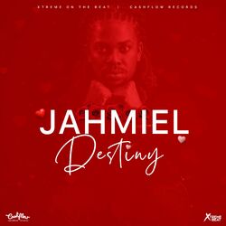Cover of Destiny