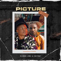 Cover of Picture