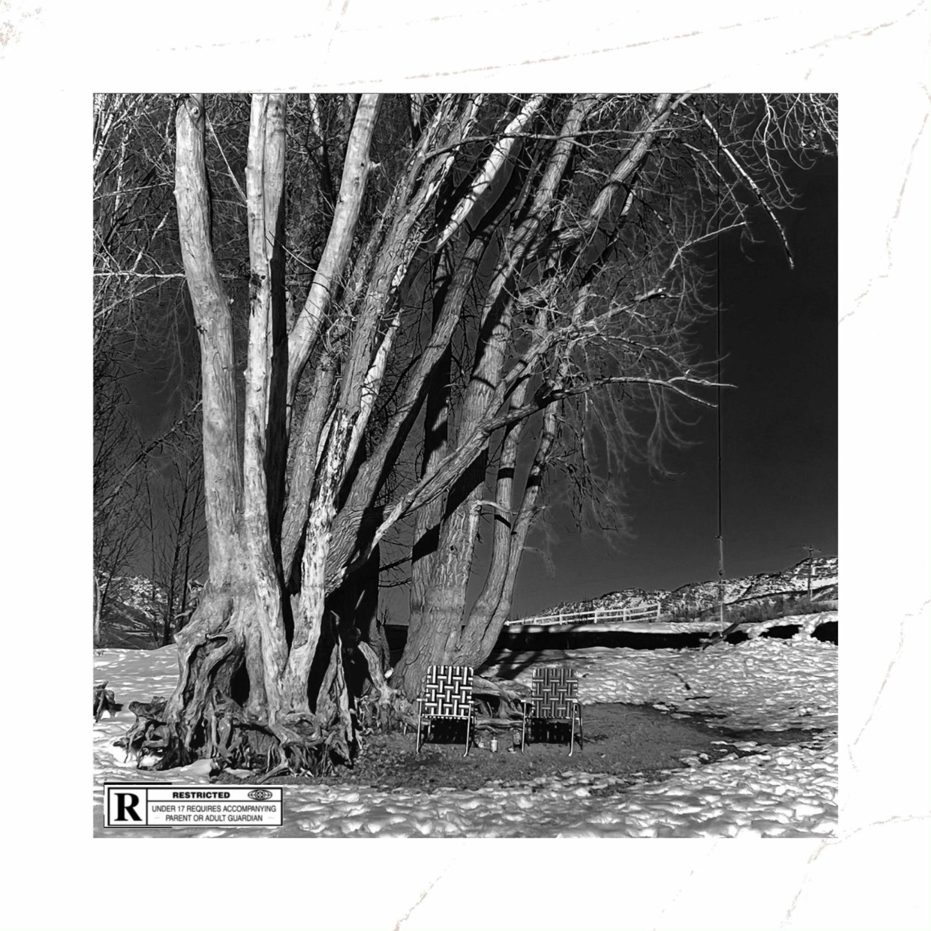 Album cover of What I Found