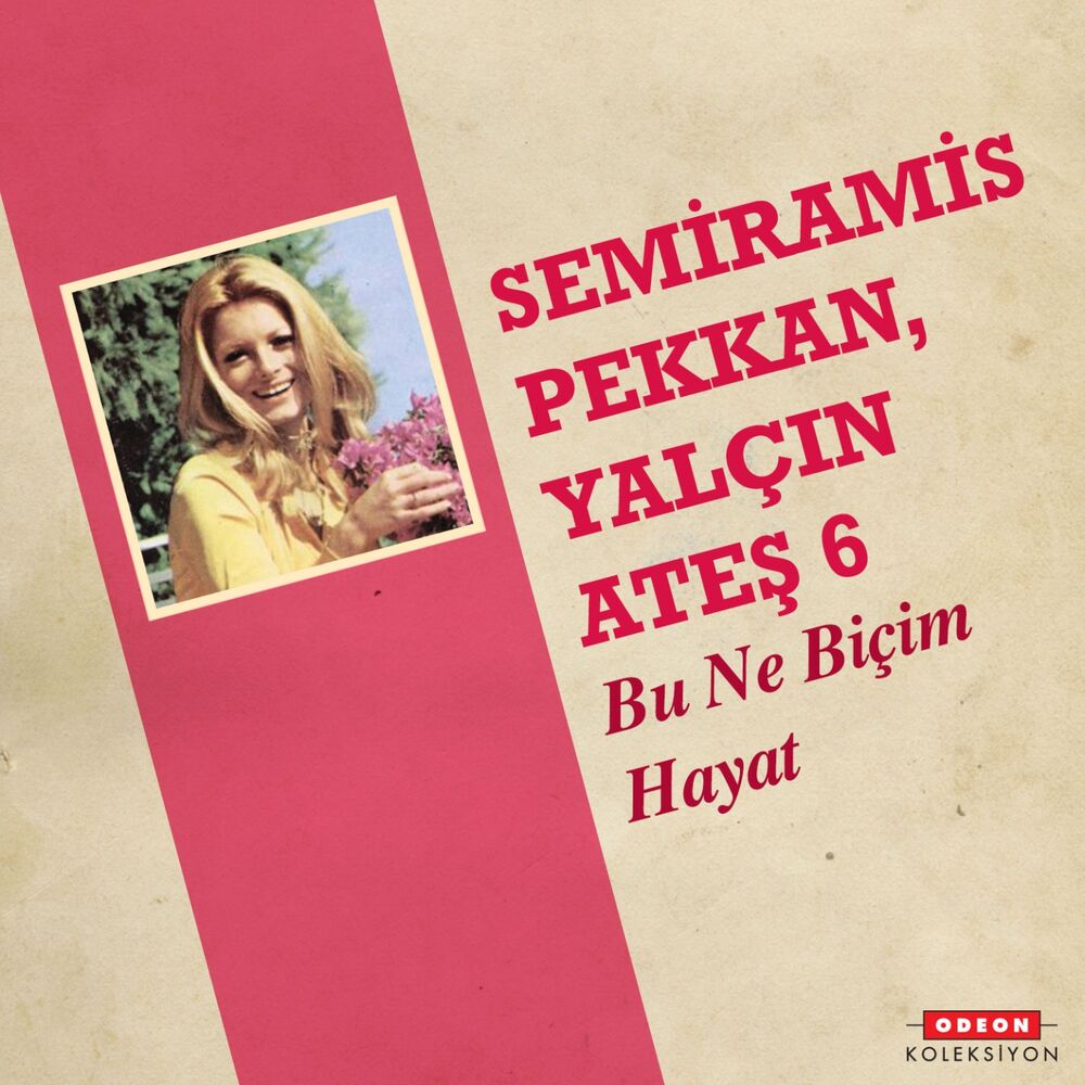 Picture of Bu Ne Biçim Hayat