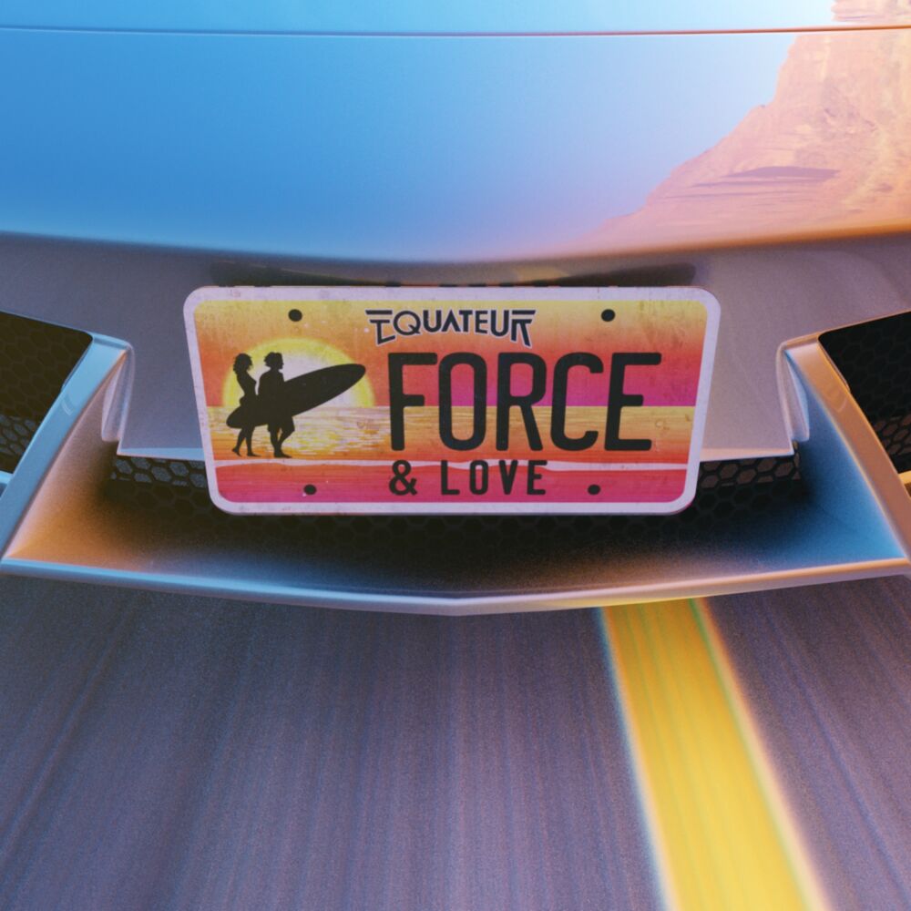 Picture of Force & Love