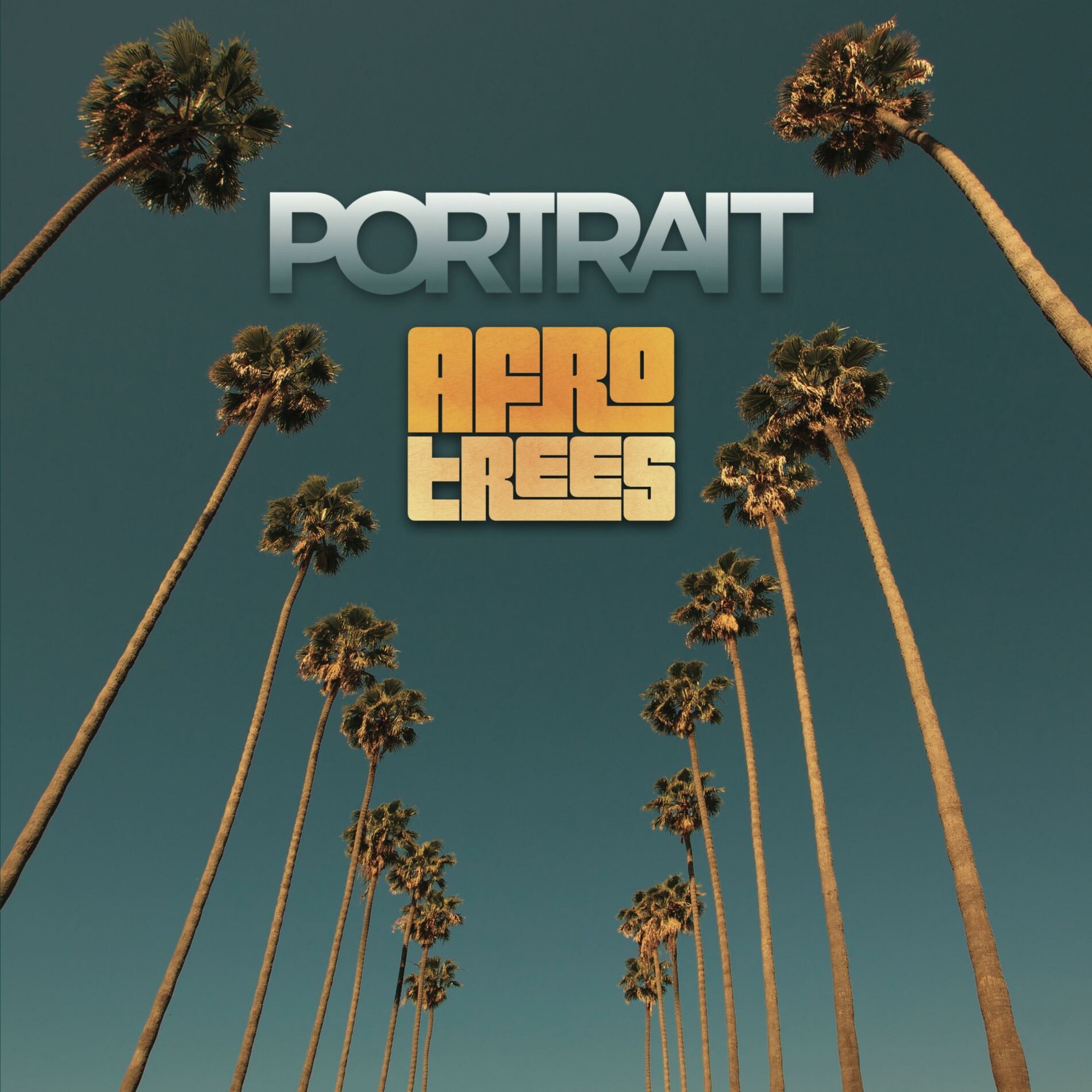 Album cover of AFRO TREES
