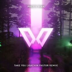 Cover of Take You (Joachim Pastor Remix Edit)