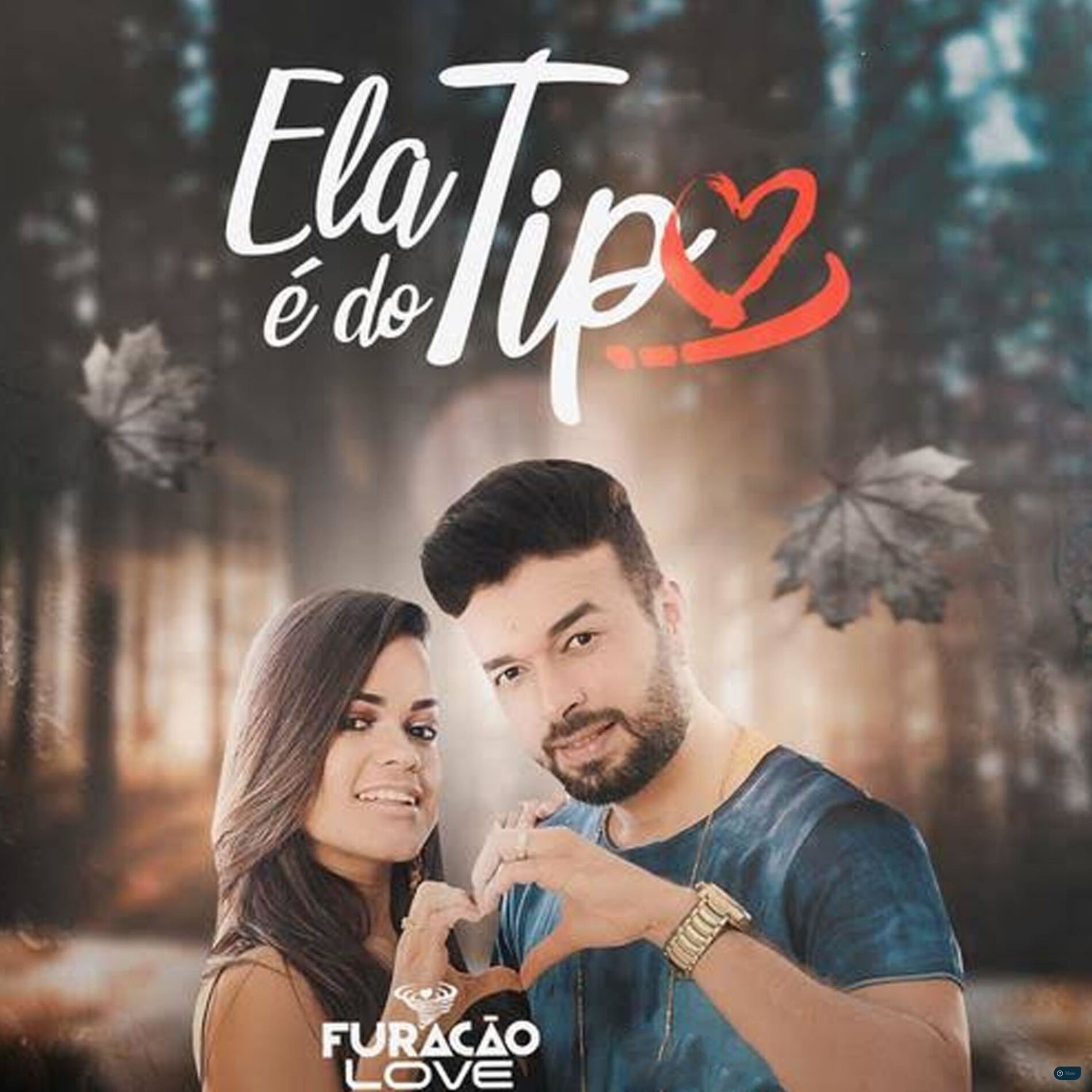 Album cover of Ela é do Tipo