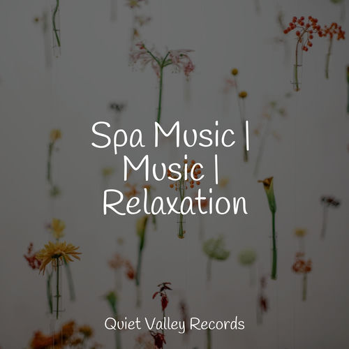 Spa Music | Music | Relaxation