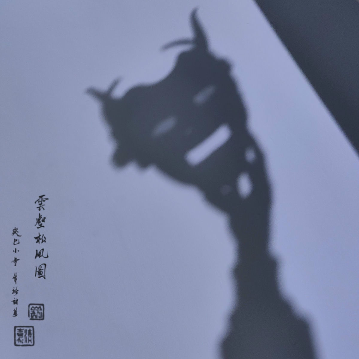 Album cover of Shadowplay