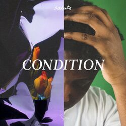 Cover of Condition