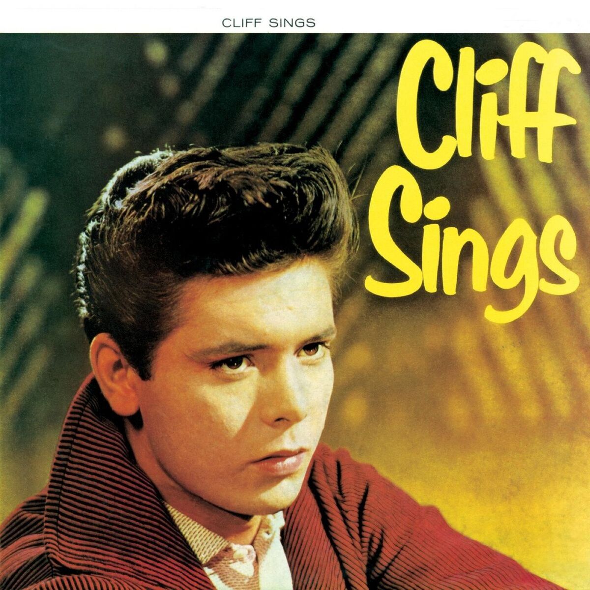 Album cover of Blue Suede Shoes