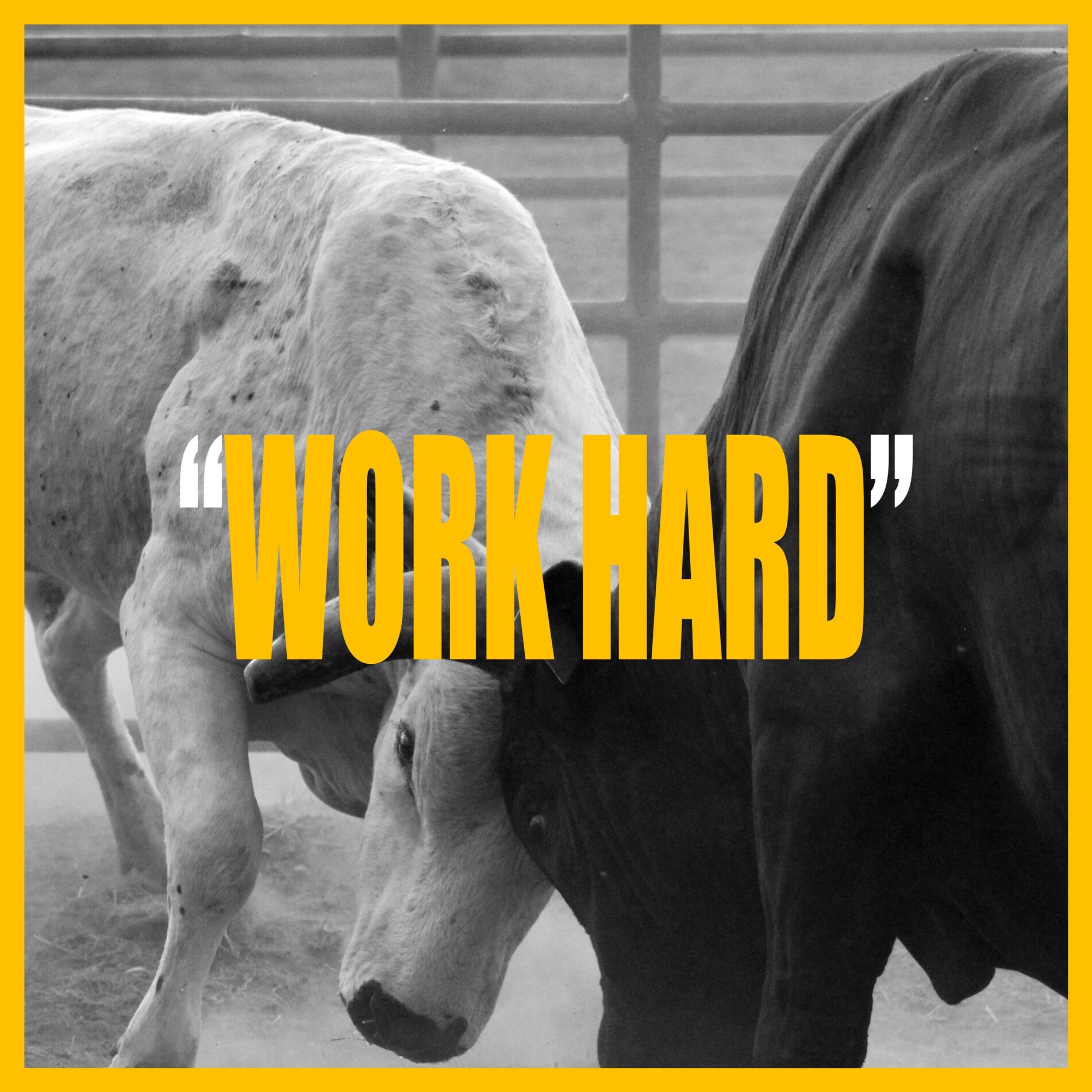 Album cover of WORK HARD