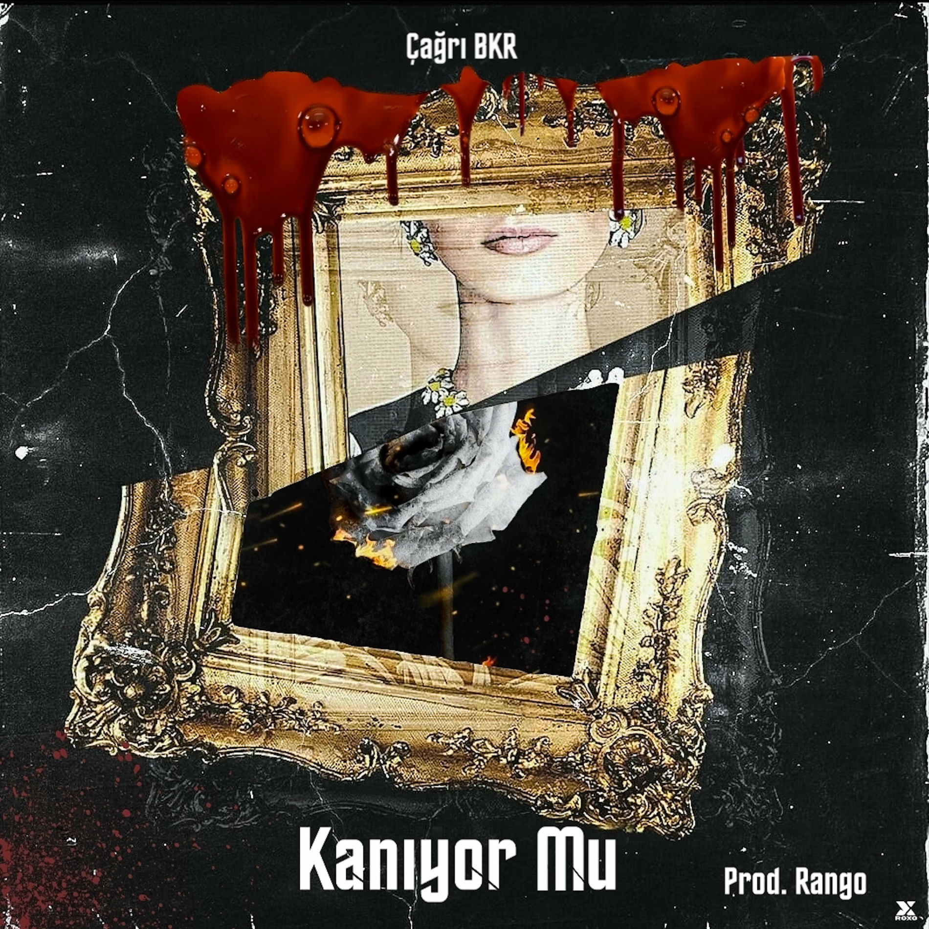 Album cover of Kanıyor mu
