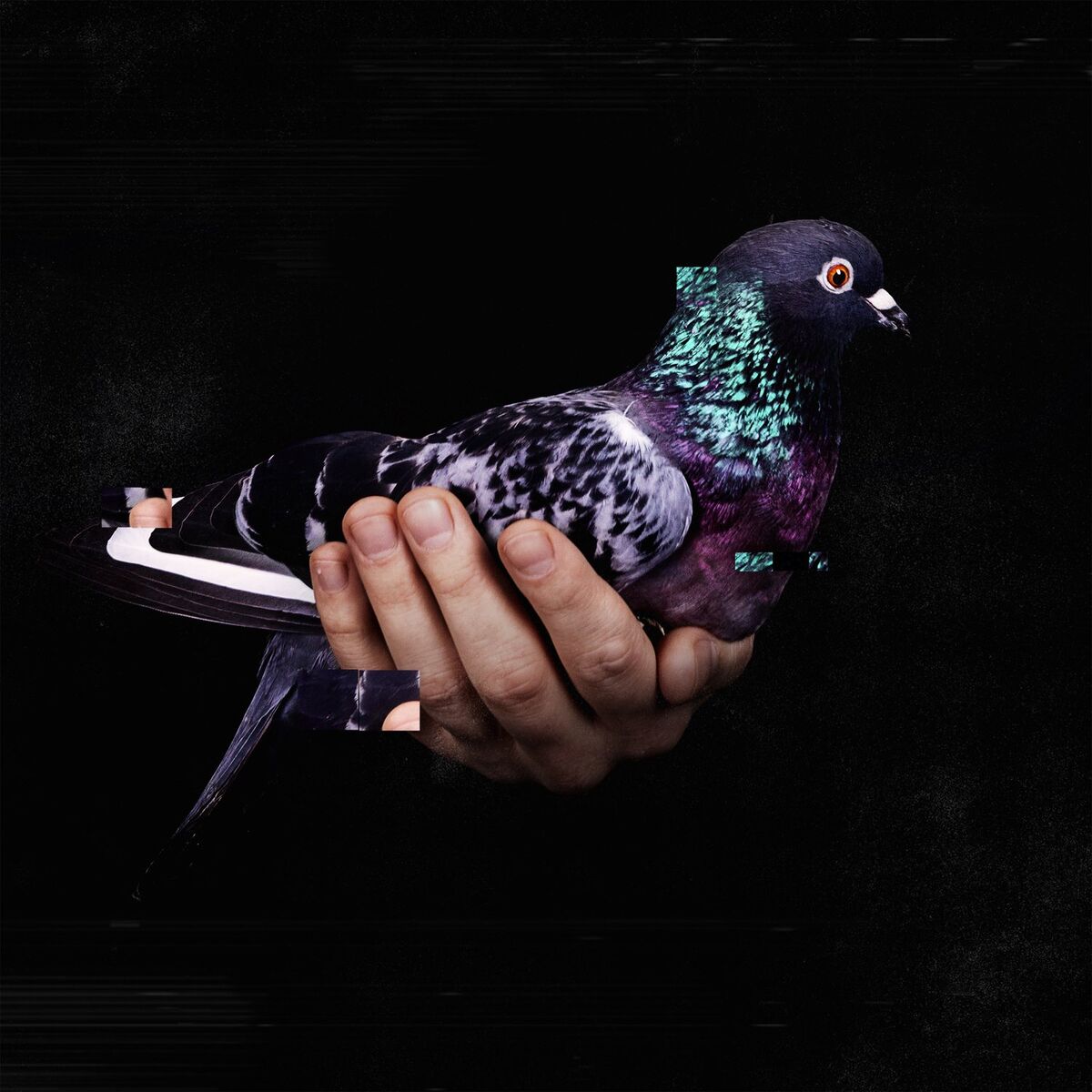 Album cover of Judith Maria