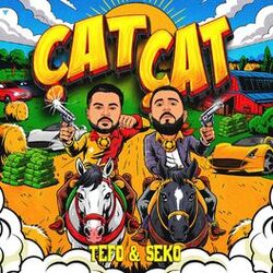 ÇAT ÇAT