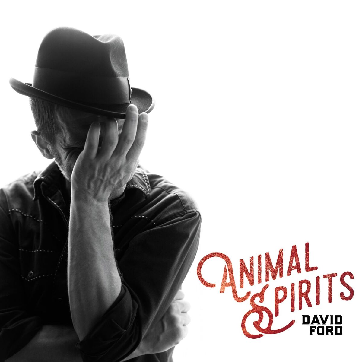 Album cover of Downmarket