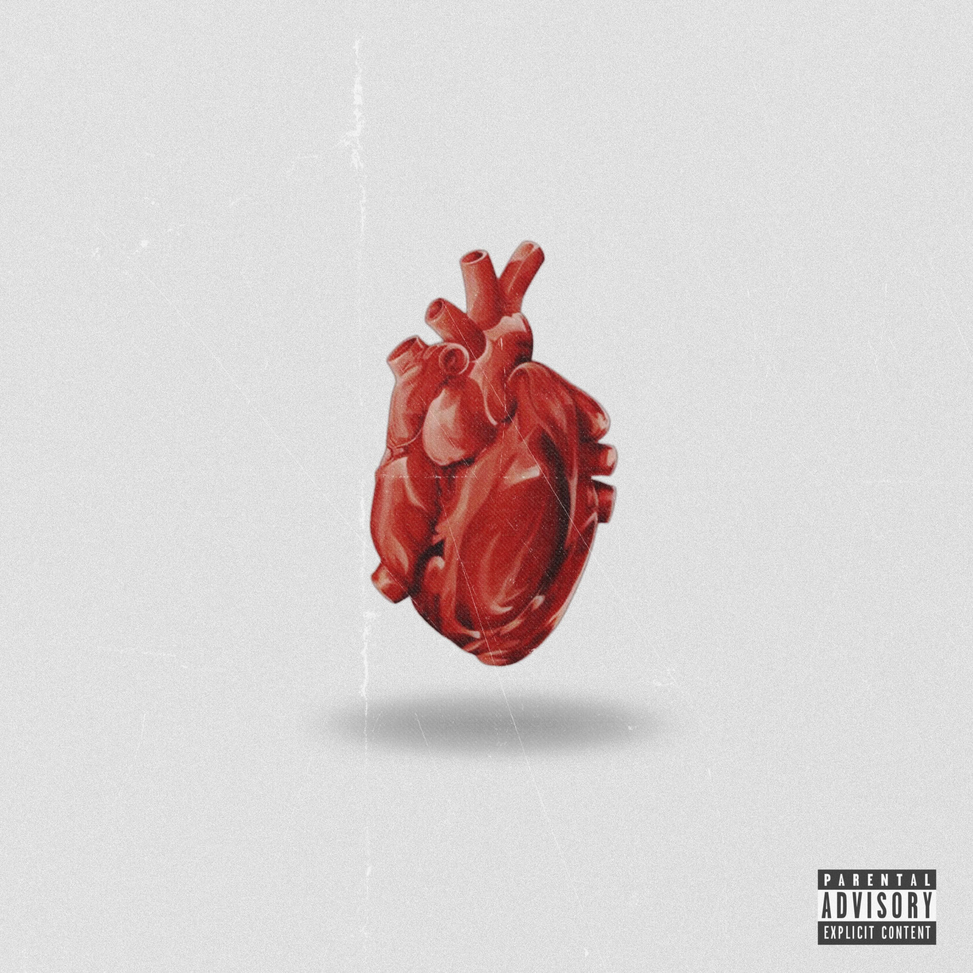 Album cover of Person