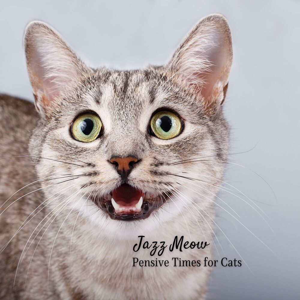 Picture of Jazz Meow: Pensive Times for Cats