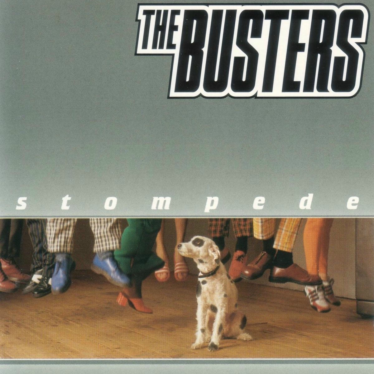 Album cover of Stompede