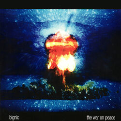 Cover of The War On Peace