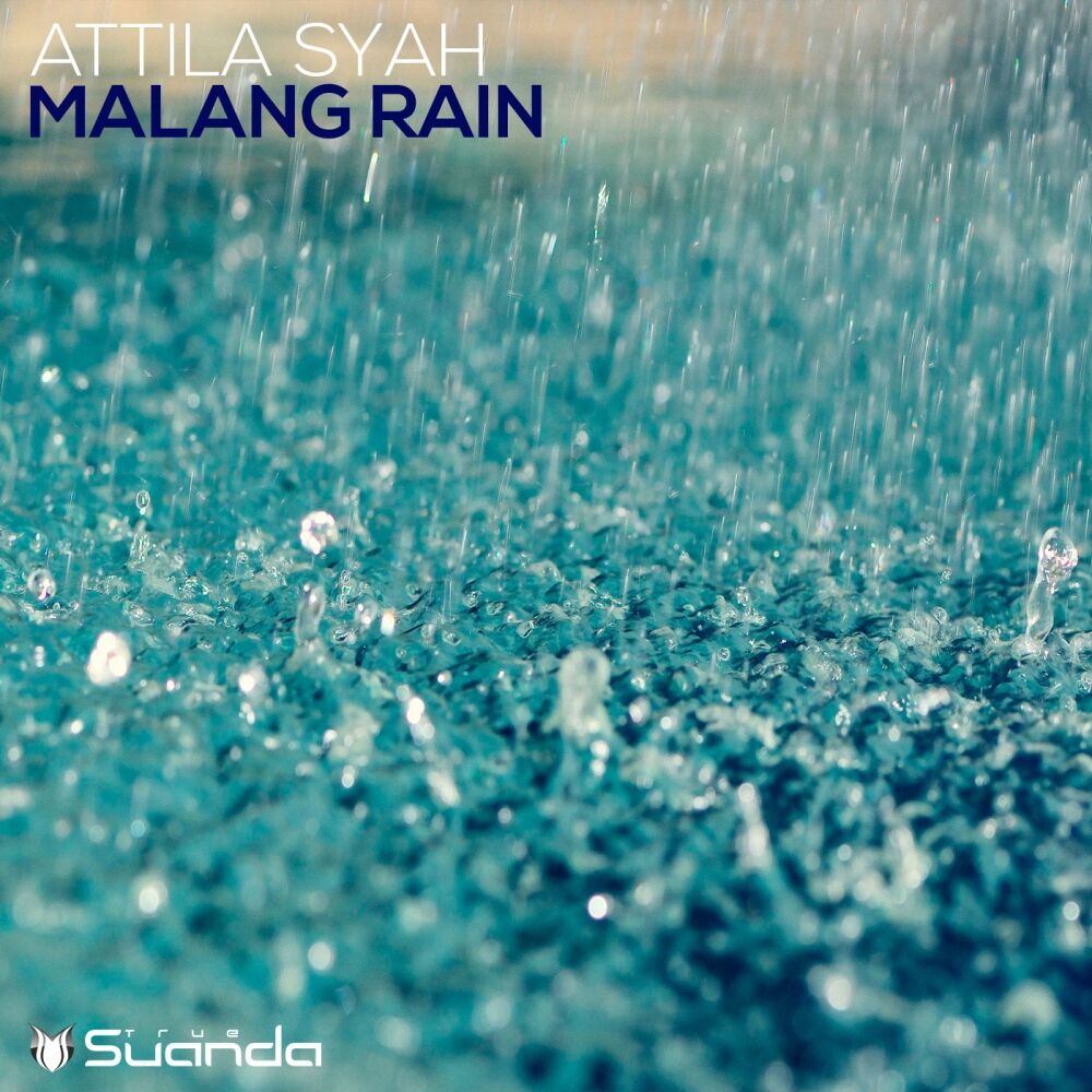Picture of Malang Rain