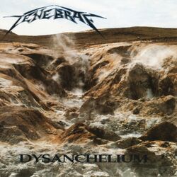 Cover of Dysanchelium