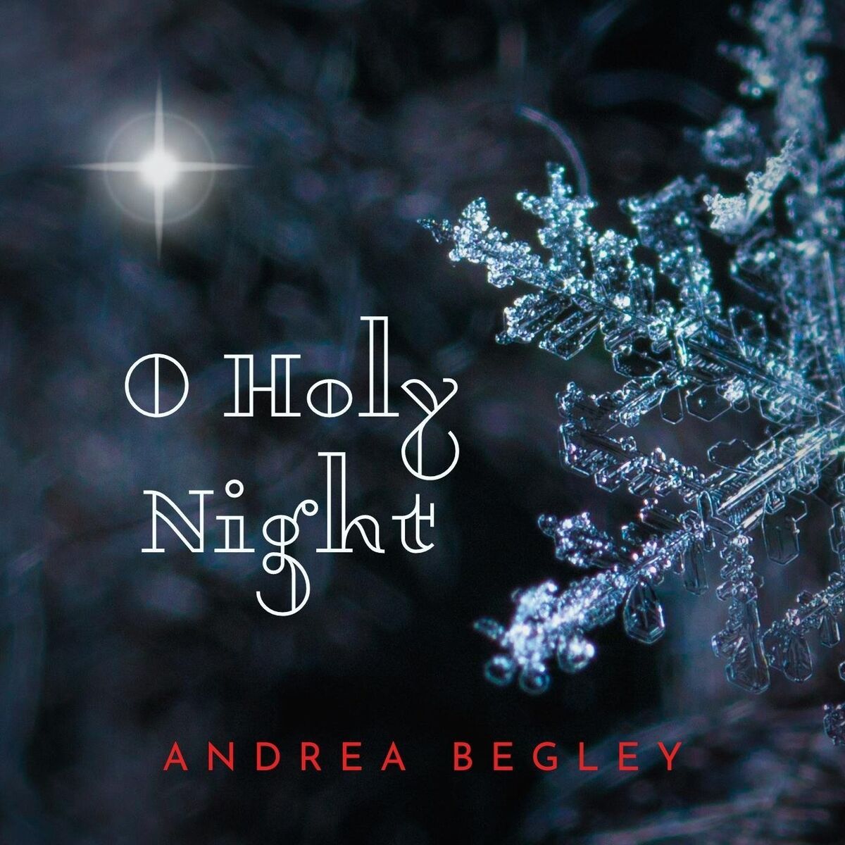Album cover of O Holy Night