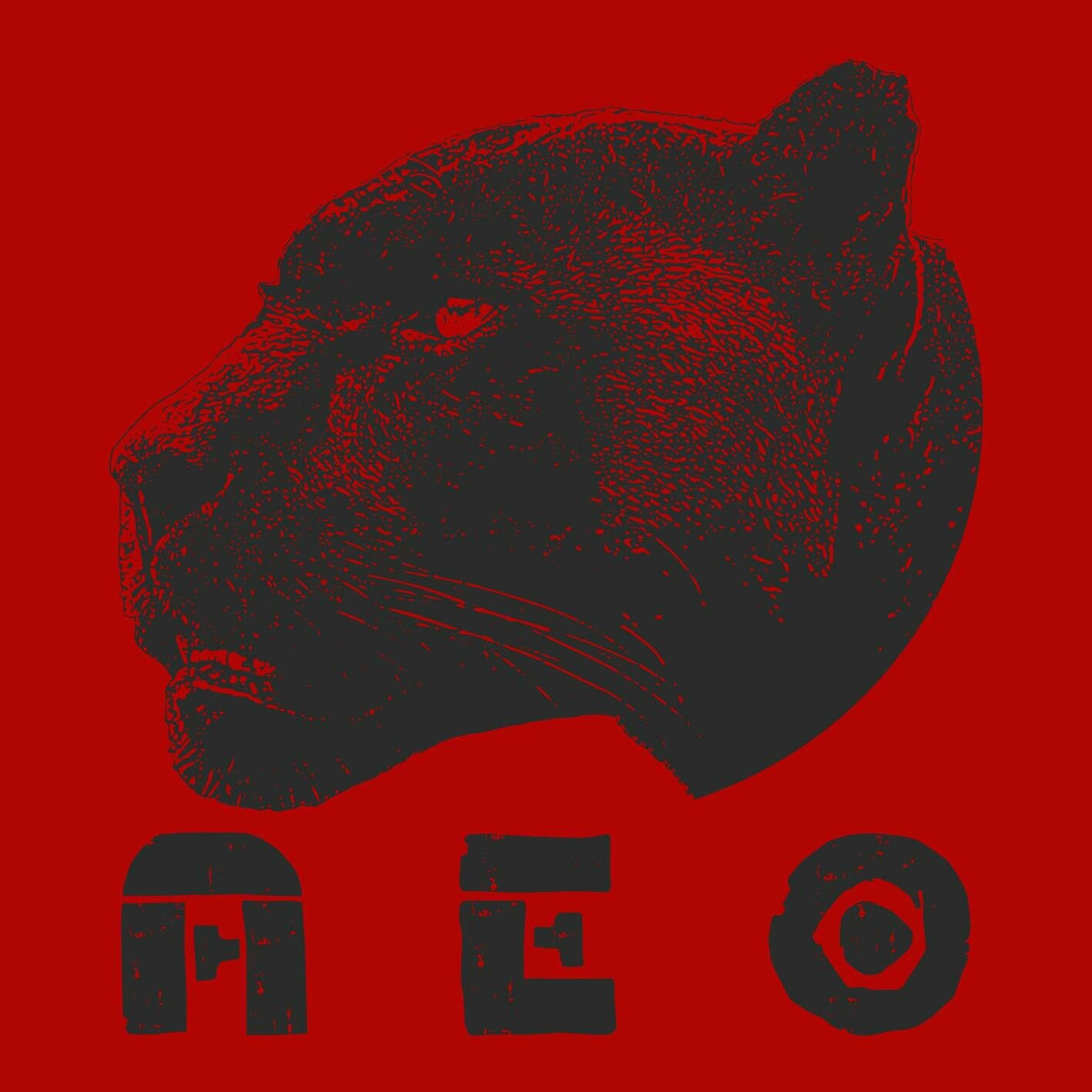 Album cover of A.E.O.