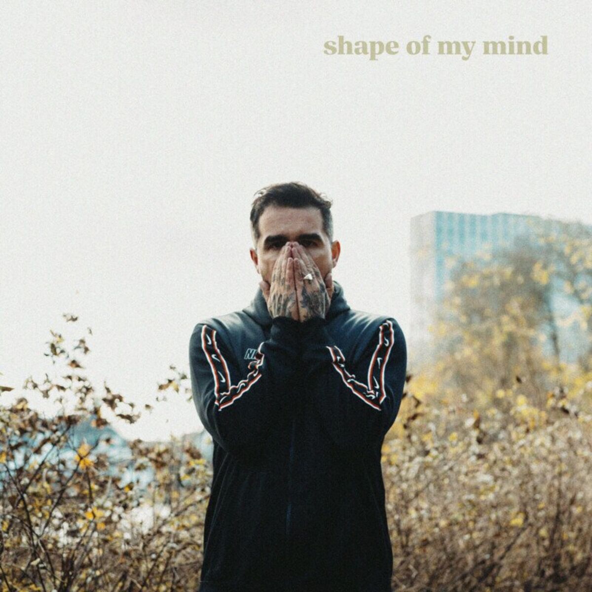 Album cover of Shape Of My Mind
