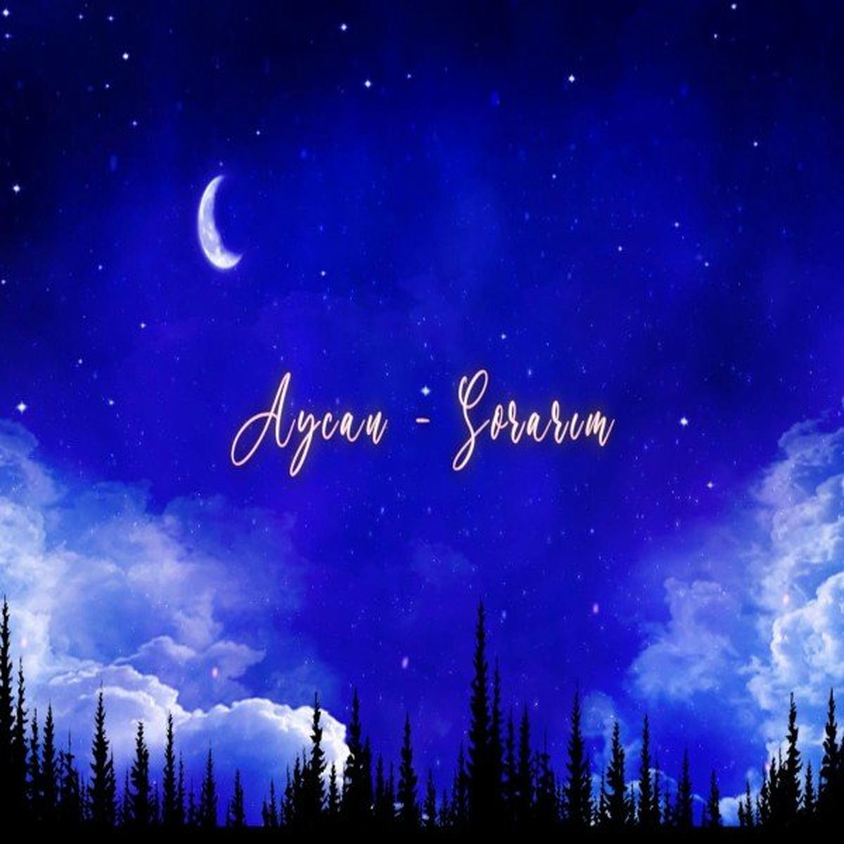 Album cover of Sorarım
