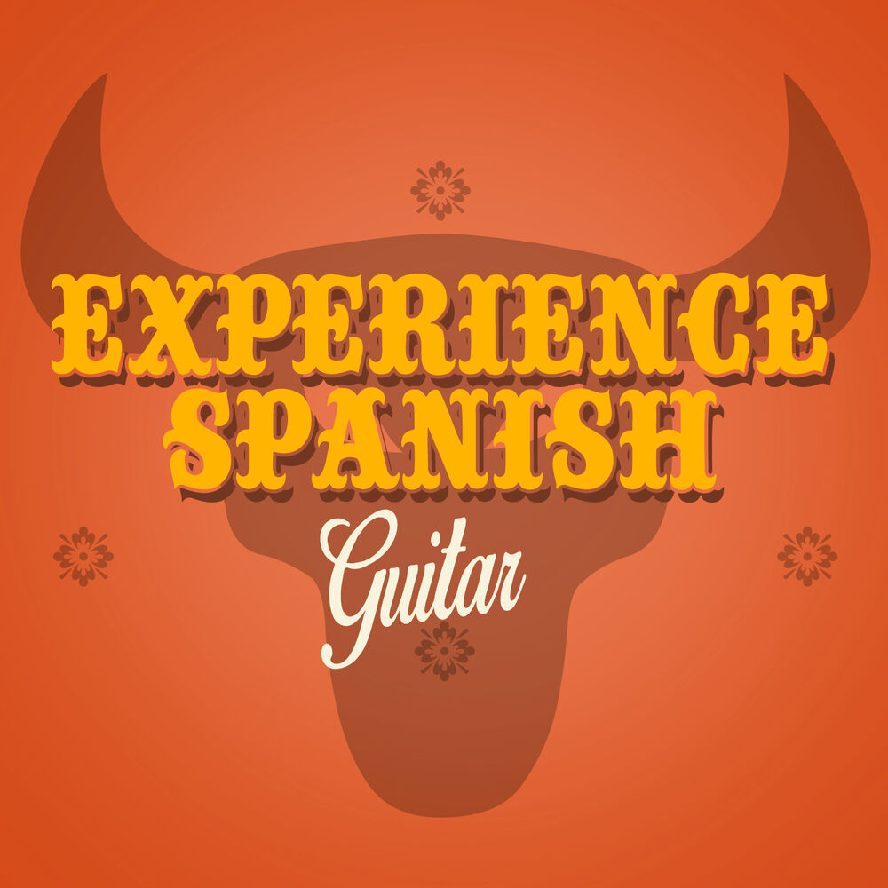 Picture of Experience Spanish Guitar
