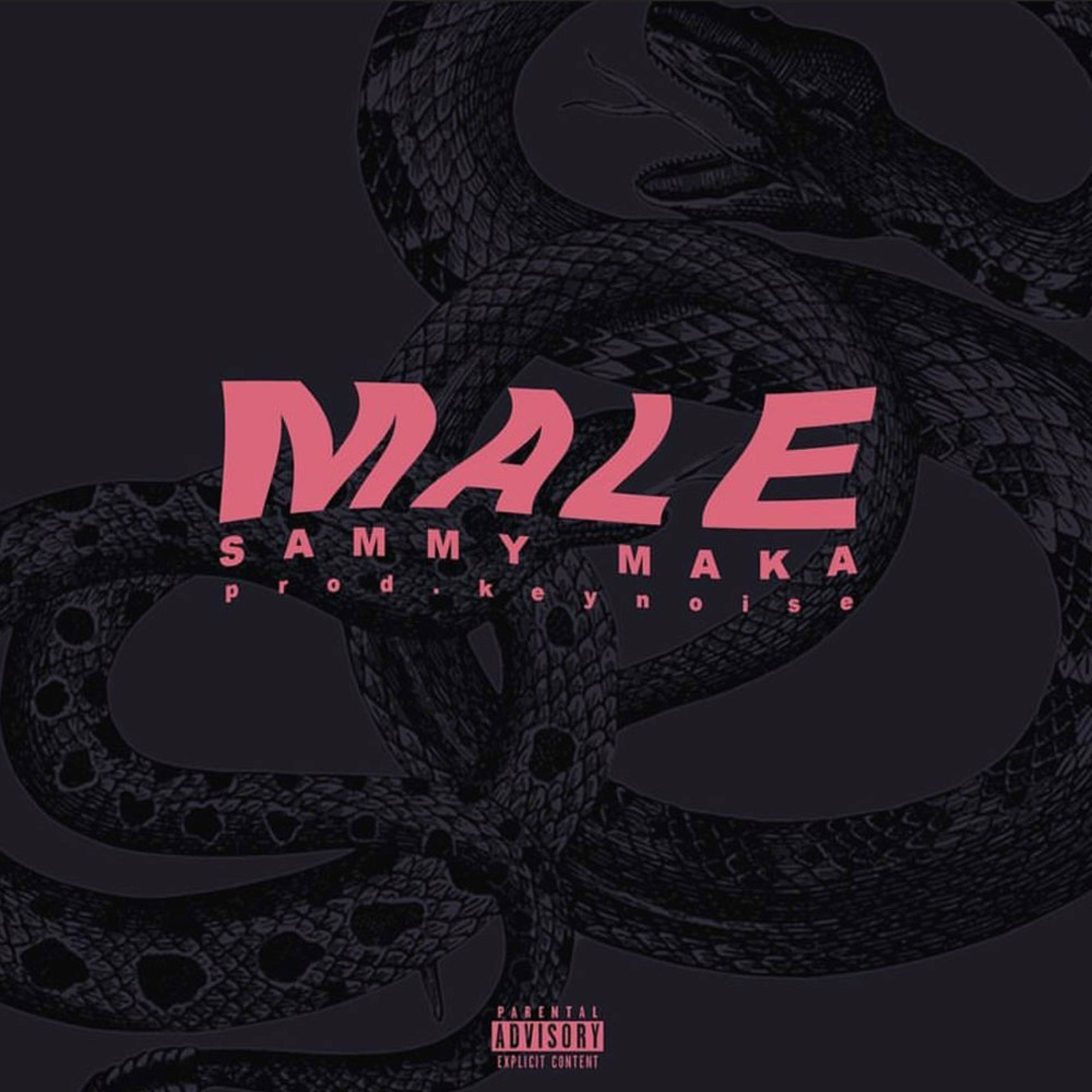Album cover of Male