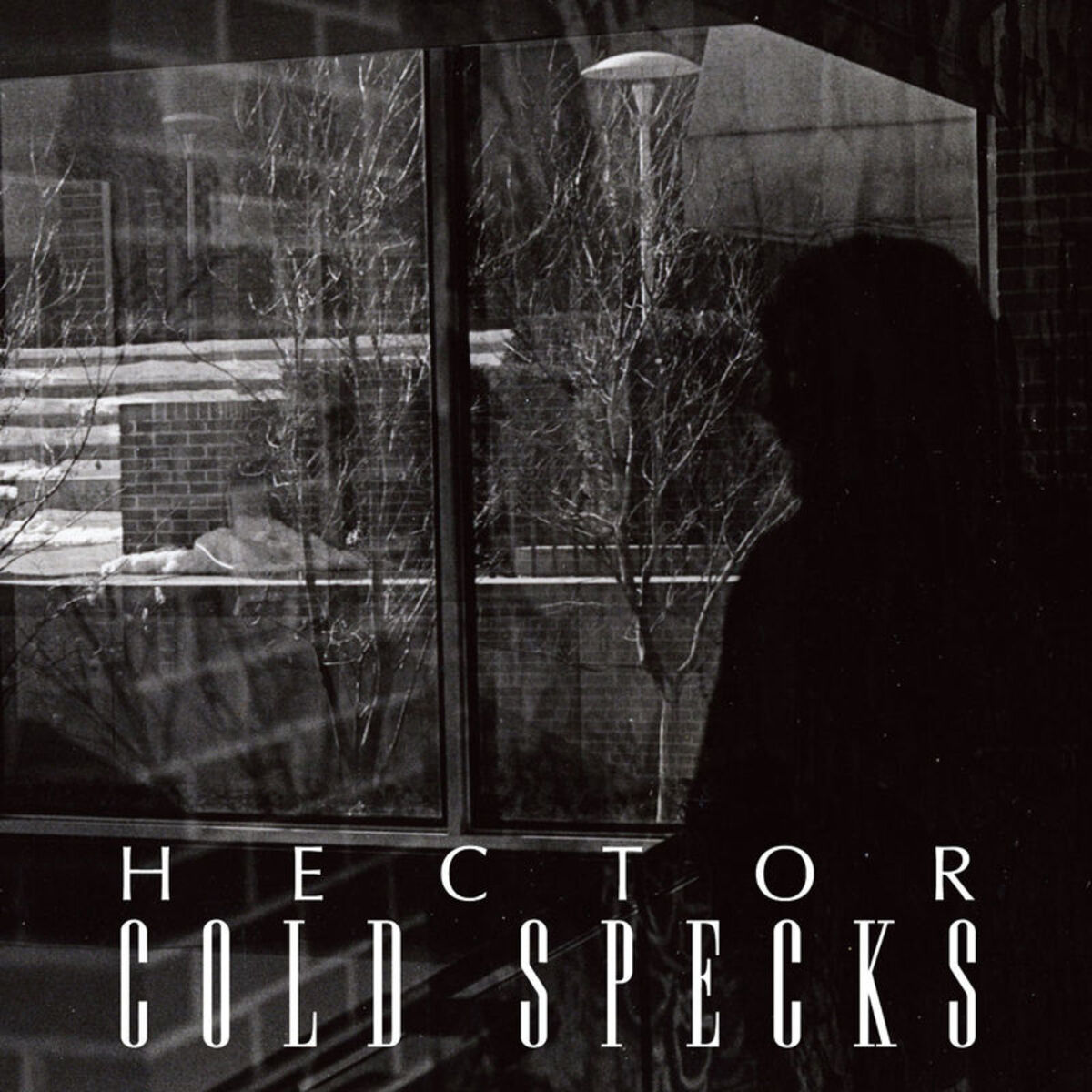 Album cover of Hector