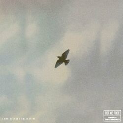 Cover of Set Me Free