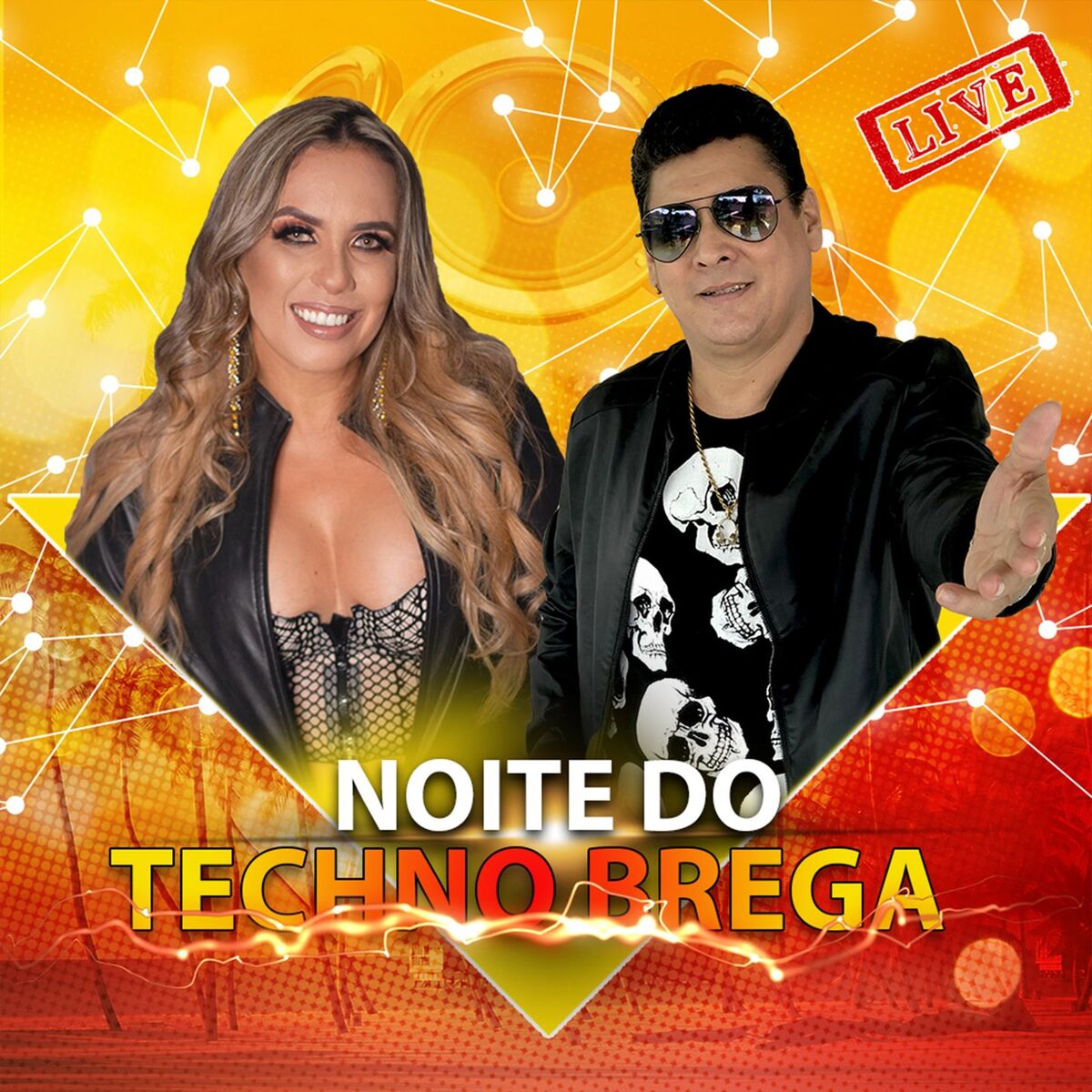 Album cover of Live Noite Do Techno Brega