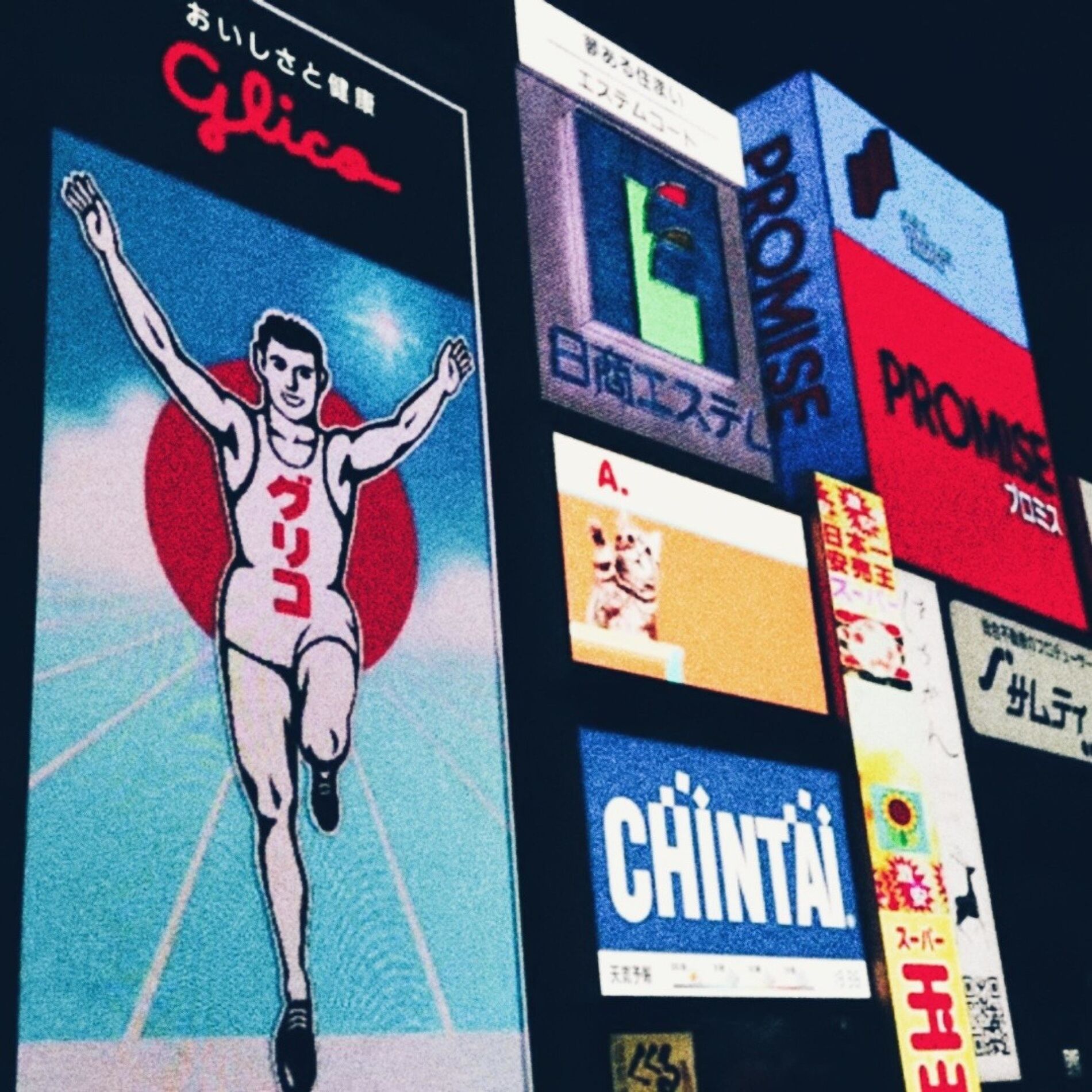 Album cover of loser