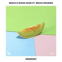 Cover of Somebody