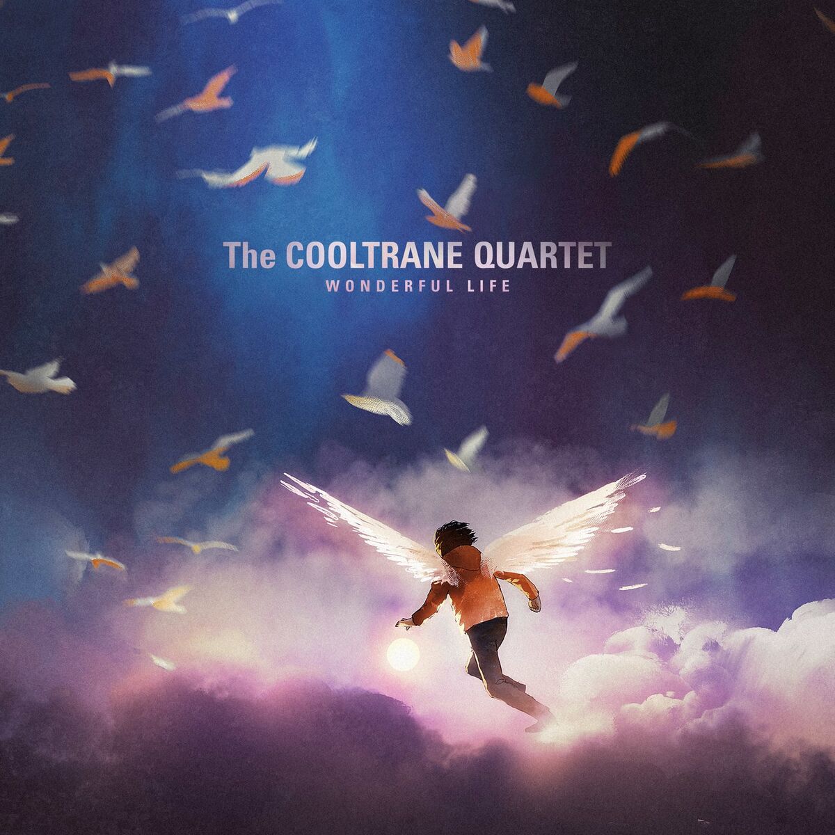 Album cover of Wonderful Life