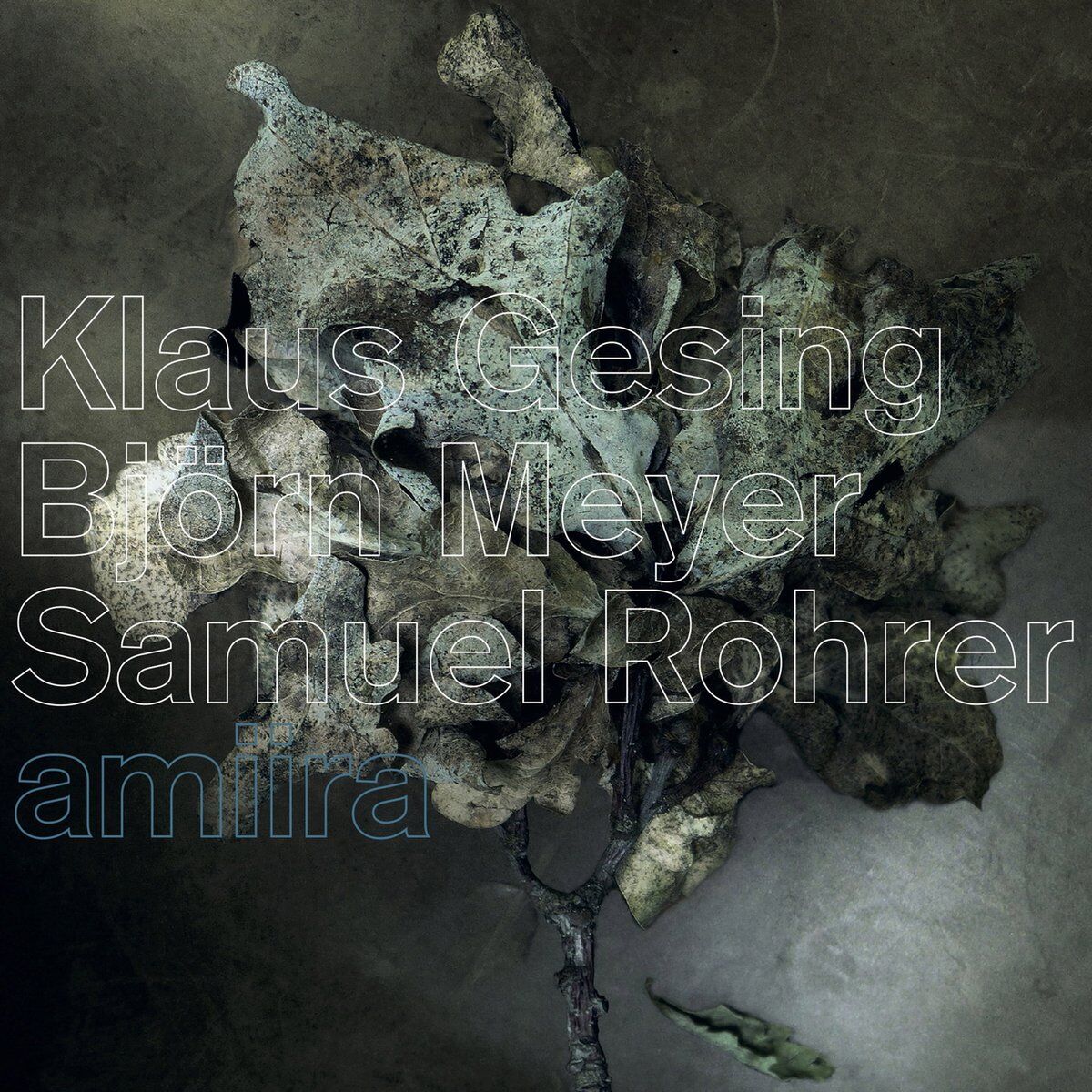 Album cover of Amiira