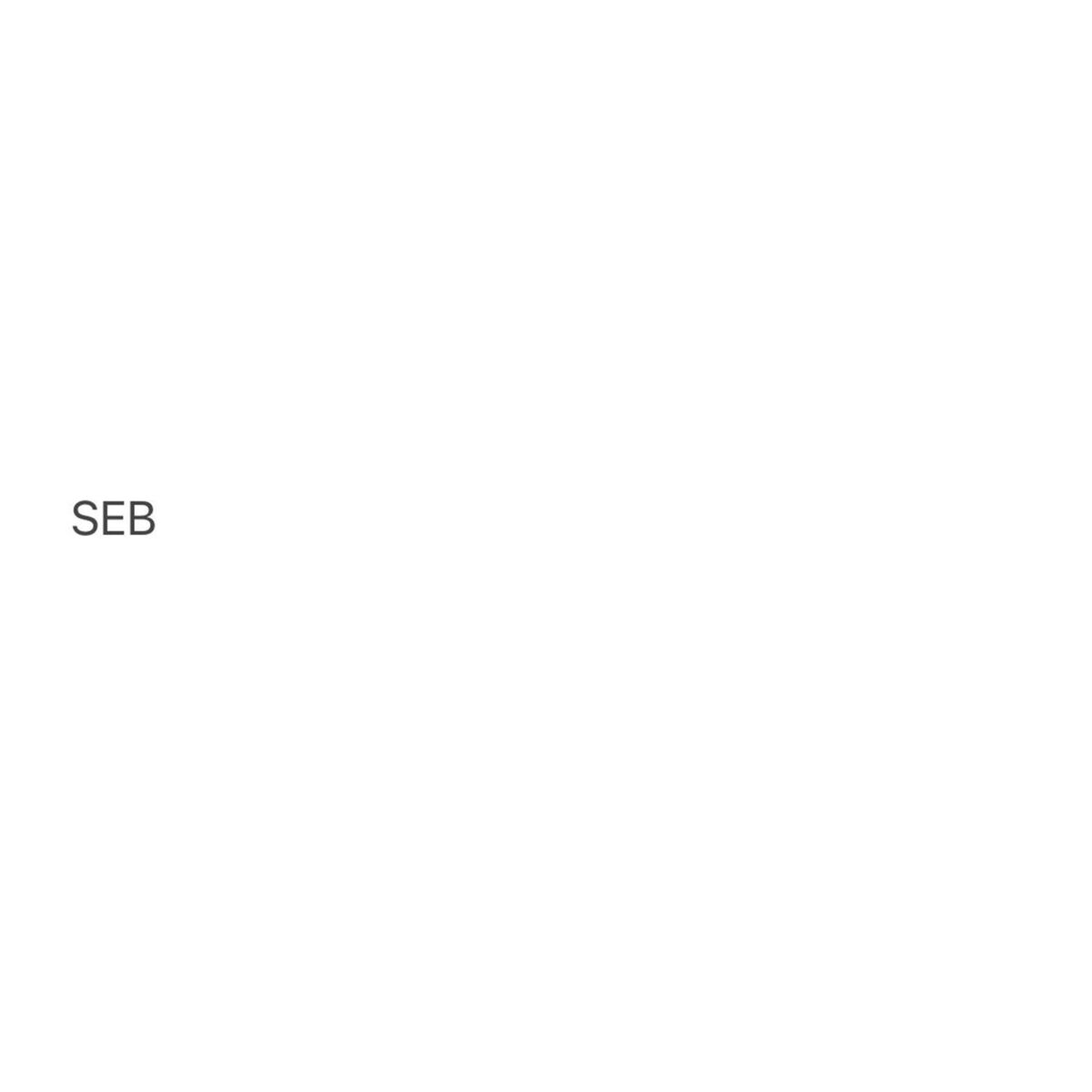 Album cover of SEB