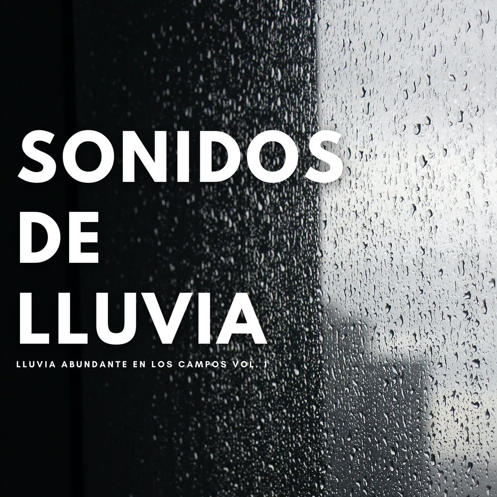 Picture of Sonidos De Lluvia: Lluvia Abundante En Los Campos Vol. 1