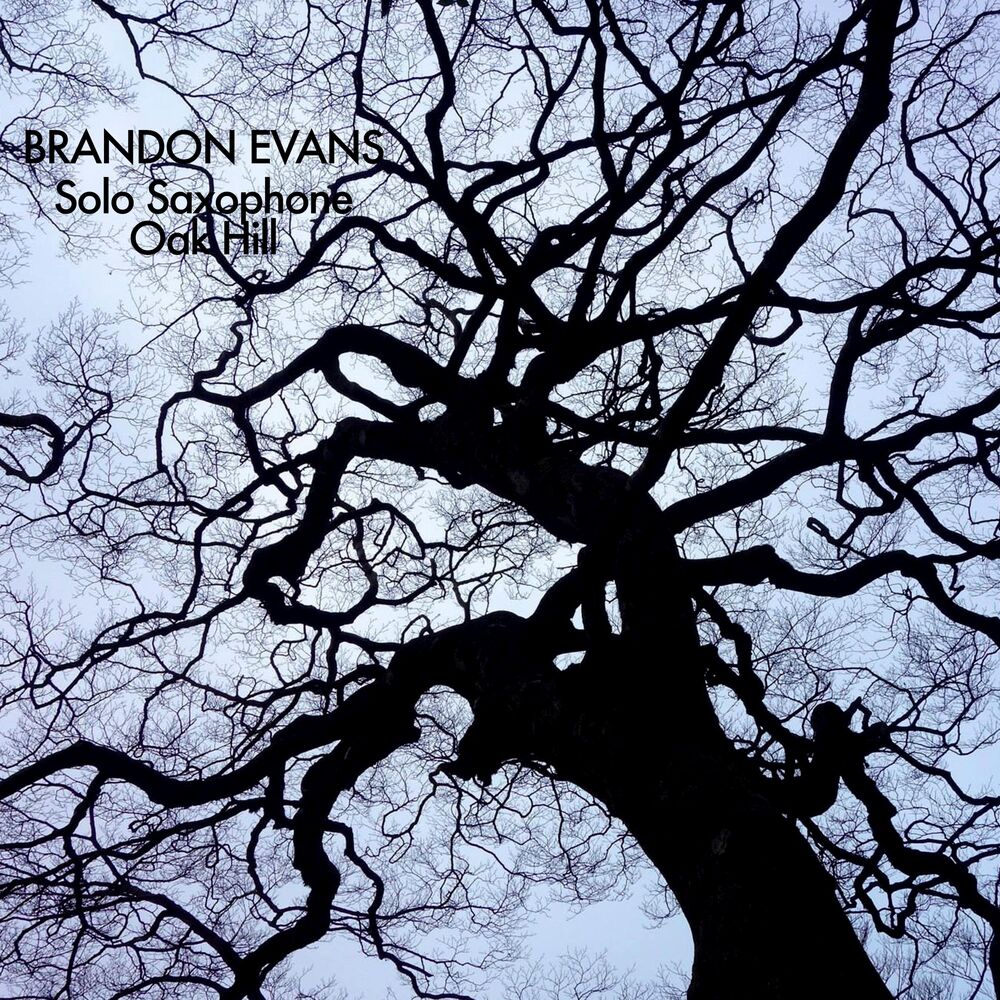 Picture of Solo Saxophone (Oak Hill)
