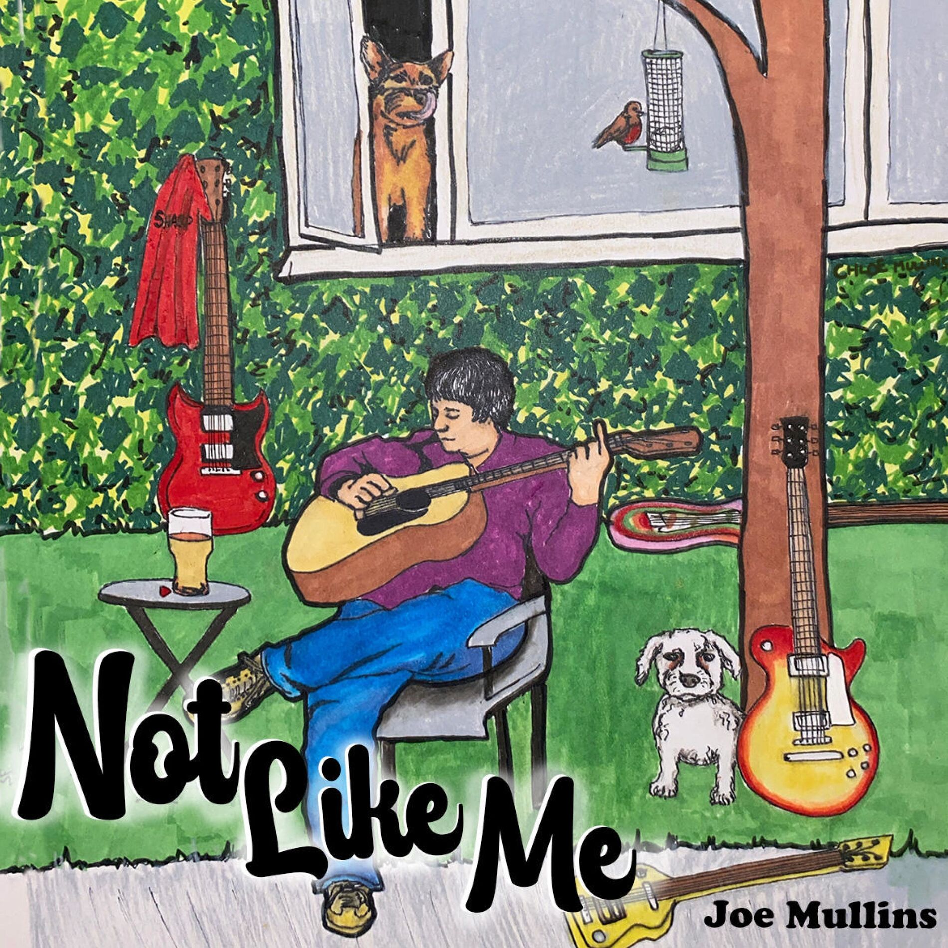 Album cover of NOT LIKE ME