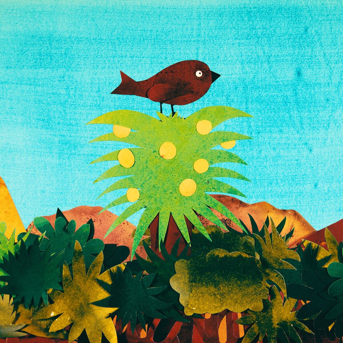 Album cover of Passarinho