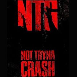 Cover of Not Tryna Crash