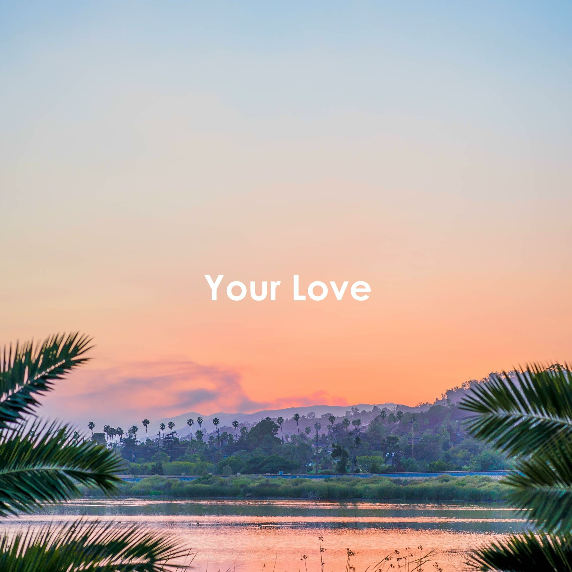 Album cover of Your Love