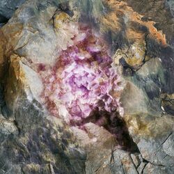 Cover of Talisman