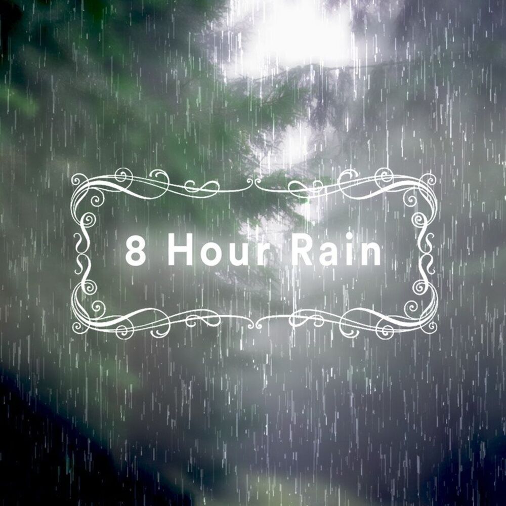 Picture of 8 Hour Rain