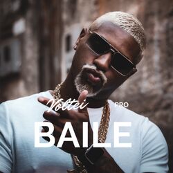 Cover of Voltei pro Baile